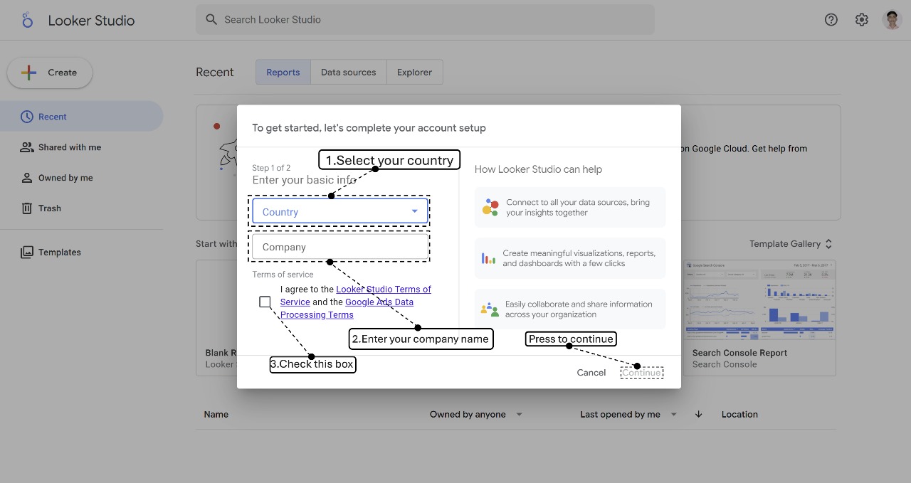 Looker Studio Dashboard Example